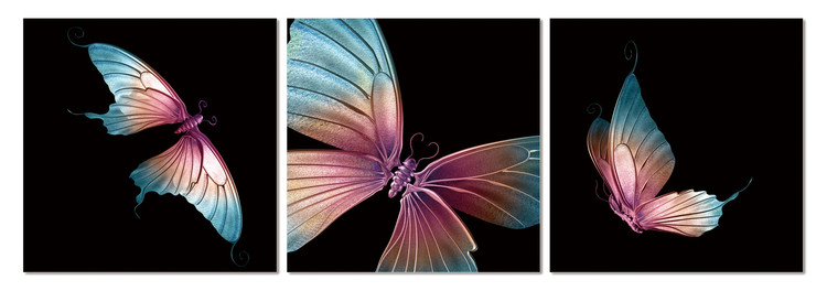 Wandbilder Modern design - butterfly