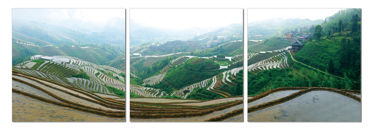 Wandbilder Plantations on the hills