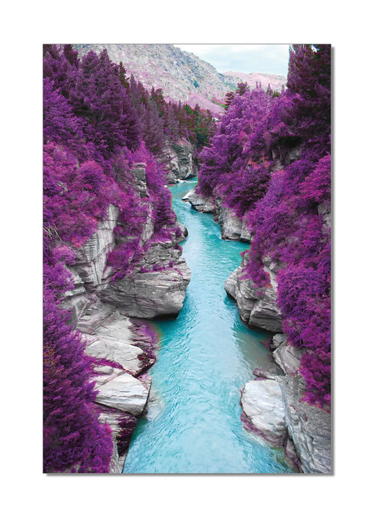 Wandbilder River flows in Purple Forest