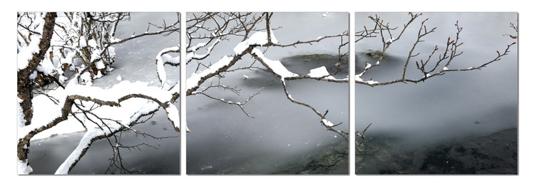 Wandbilder Winter Snapshot