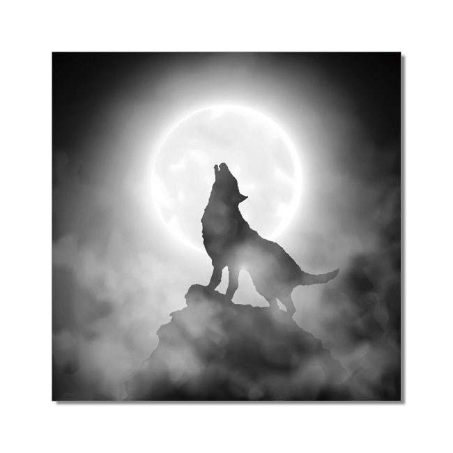 Wandbilder Wolf howling to the moon
