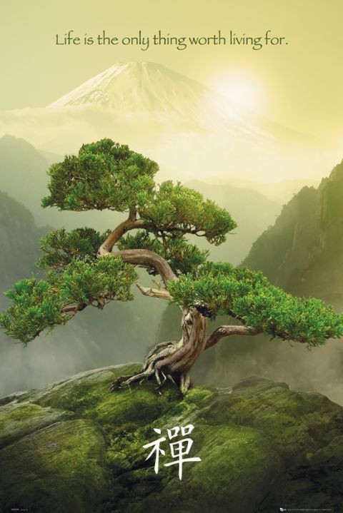 Zen плакат