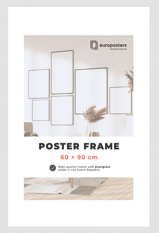 Cornice per poster 40×60 cm - Cornice su EuroPosters