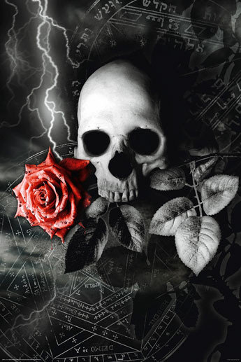 Plakát Skull rose | Obraz na zeď | 3+1 zdarma | Posters.cz