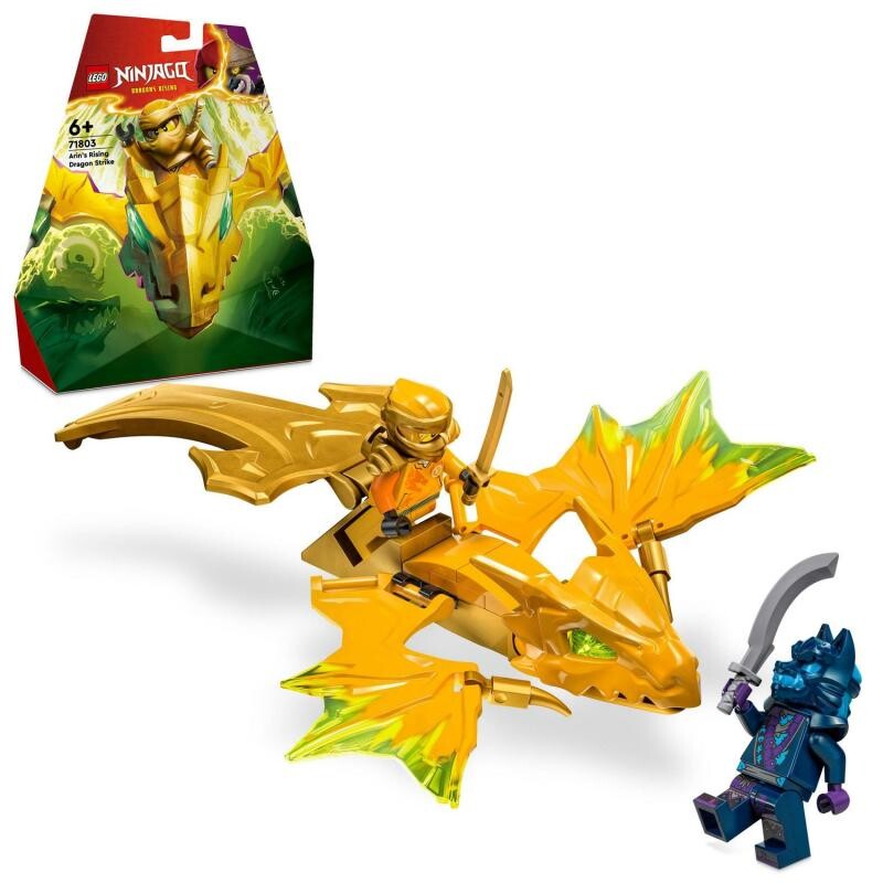 LEGO Ninjago Arin and the Dragon Attack 71803 Pósters, regalos