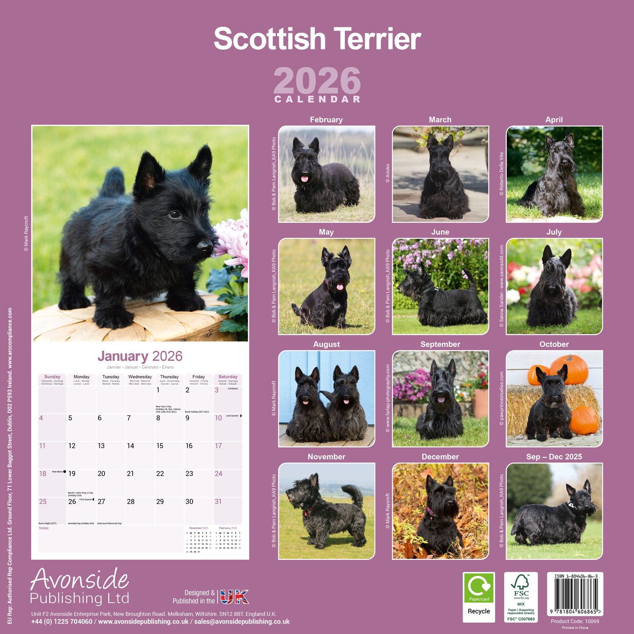 Calendrier 2026 Cairn Terrier – Format A3 (29,7x42 Cm) – 12 Photos Magnifiques – Reliure à Spirale – Parfait Pour Fans De Chiens