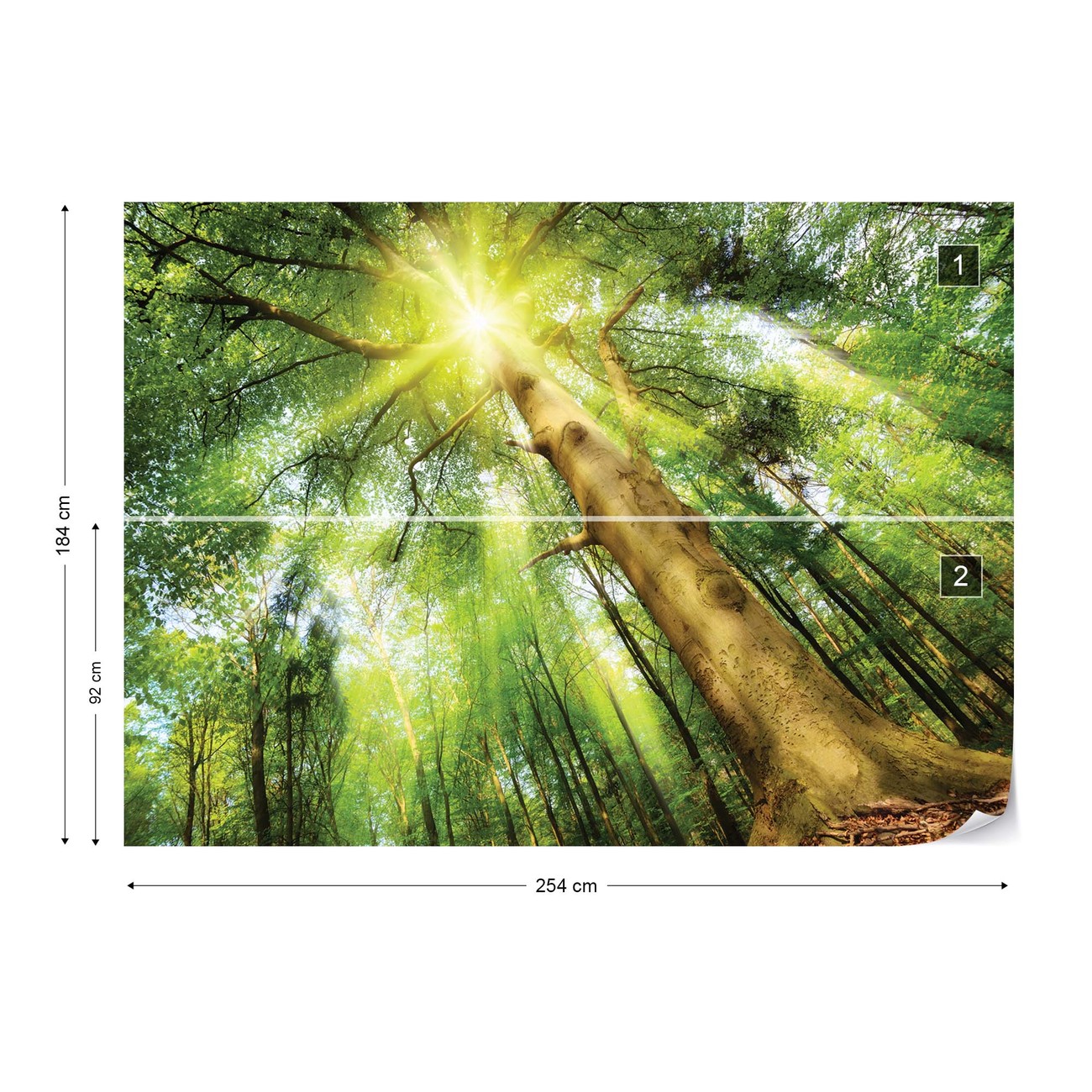 Poster Albero Primaverile Nebbioso: Arte Astratta Per Parete, Natura
