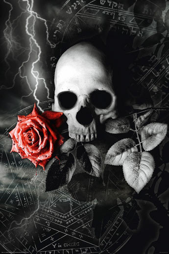 Gothique Skull Rose Désodorisant Voiture Maison Verrou Neuf