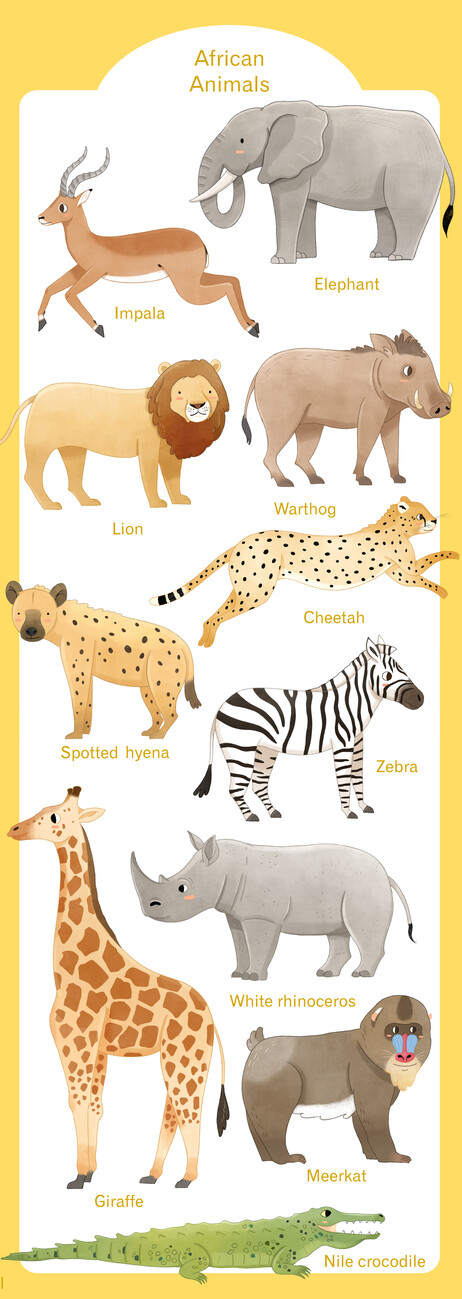 Wall Art Print | African Animals | Europosters