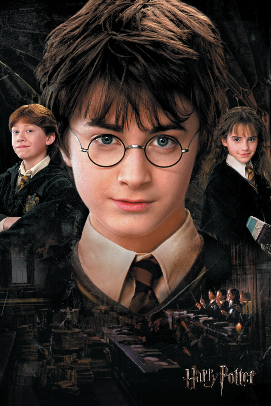 Affiche 55x40cm - Harry Potter et la chambre des secrets