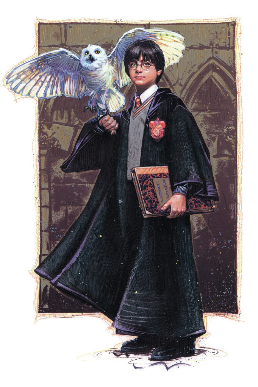 Sympton Espectacular acoplador Poster, quadro Harry Potter with Hedvig - Art | Regalos, merch | Posters