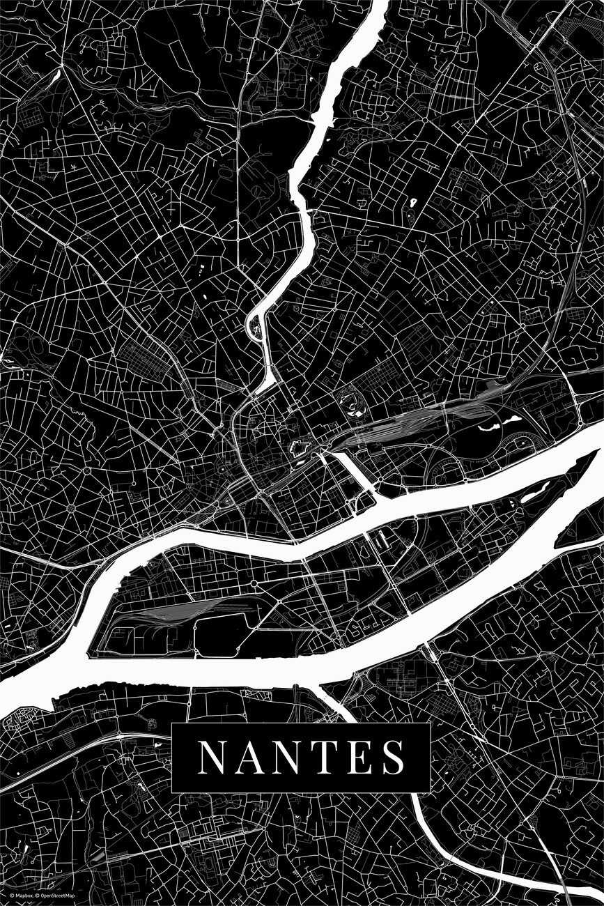 Carte Nantes black