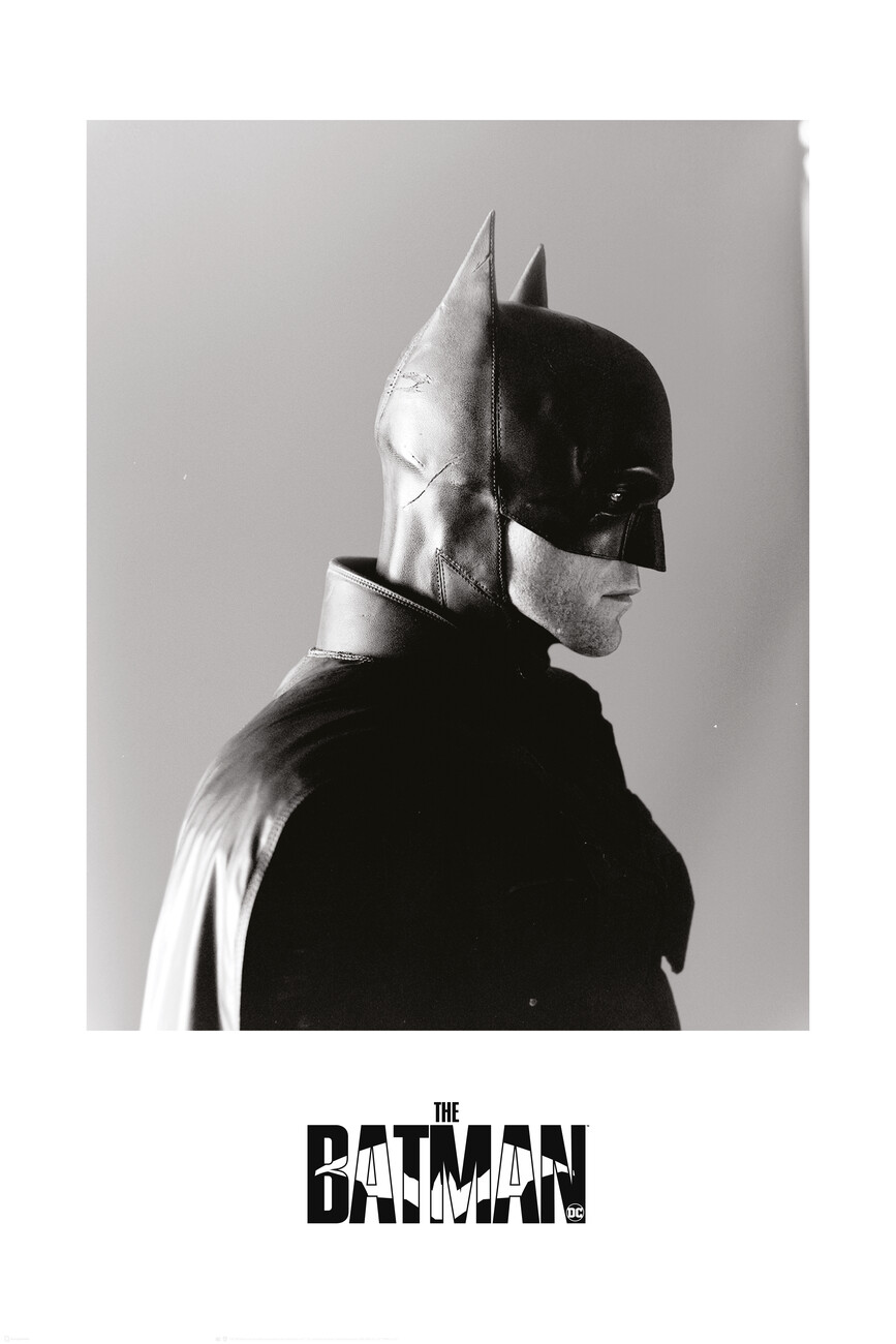Poster, quadro The Batman 2022 - Bat profile | Regalos, merch | Posters