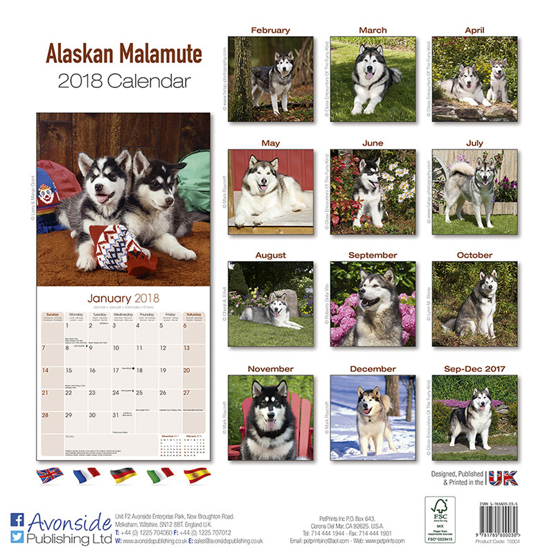 Alaskan Malamute Calendarios de pared 2024 Consíguelos en Posters.es