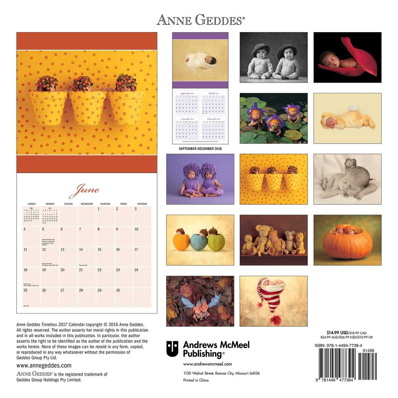 Anne Geddes Timeless Calendarios de pared 2026 Consíguelos en Anne Geddes Timeless Calendarios de pared 2026 Consíguelos en