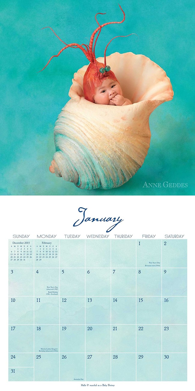 Anne Geddes Under the Sea Calendarios de pared 2024 Consíguelos