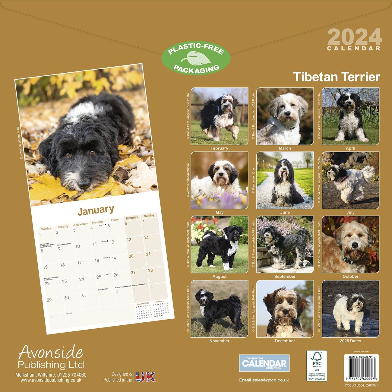 Calendario Cuadrado De Agosto De 2024 Plantilla De Diseño Calendario De