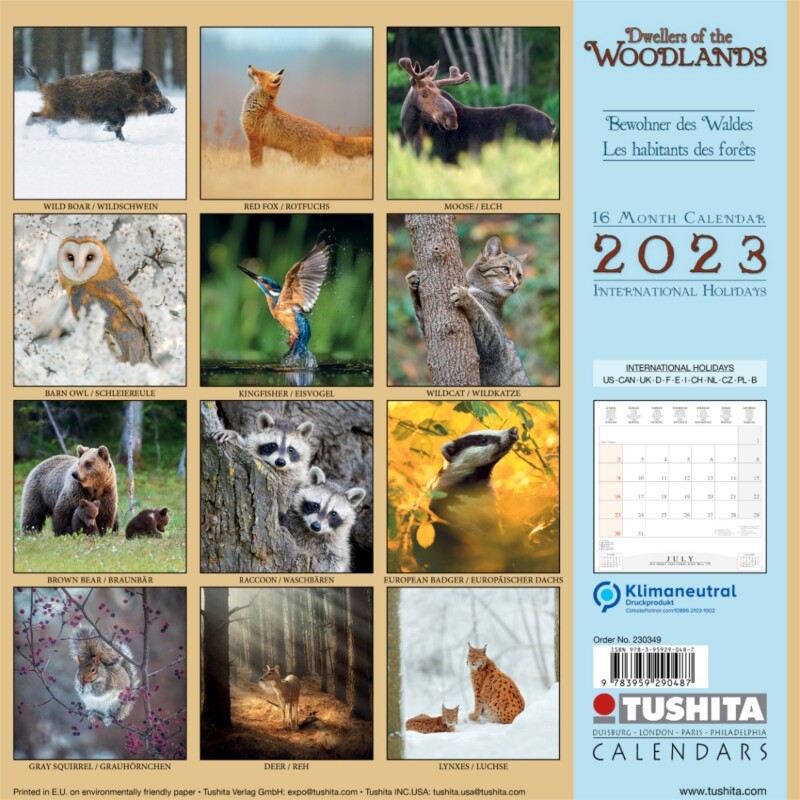 Woodlands Calendarios de pared 2023 Consíguelos en Posters.es
