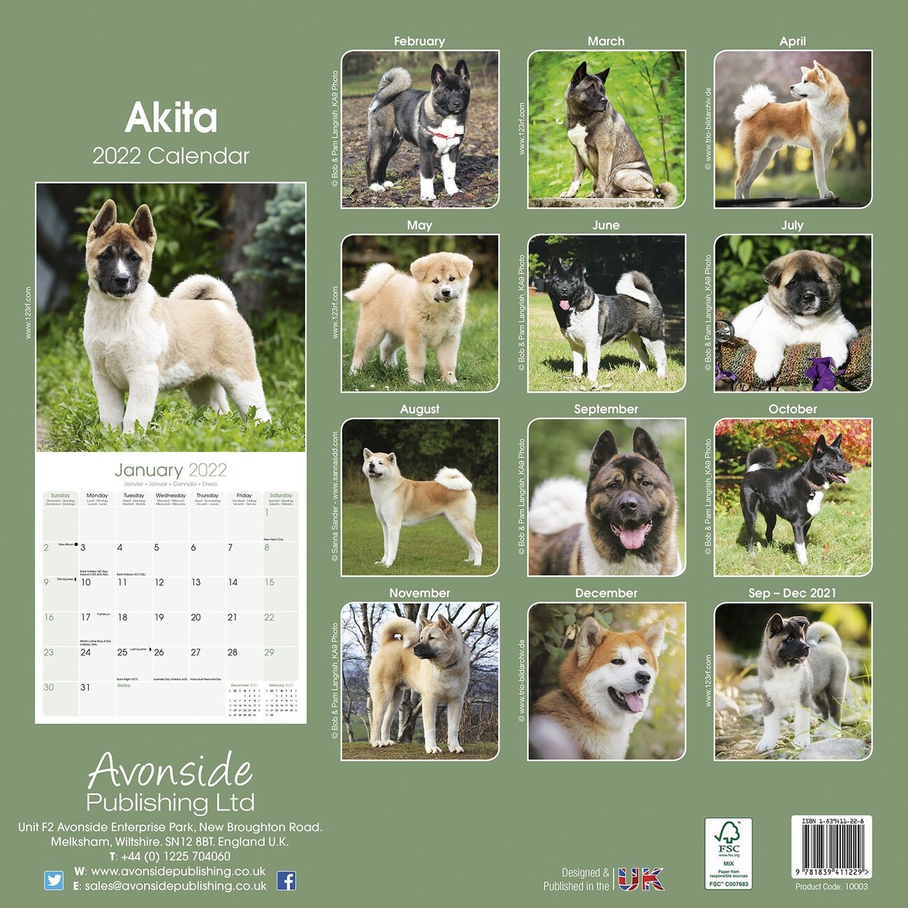 Akita Wall Calendars 2022 Buy at Europosters