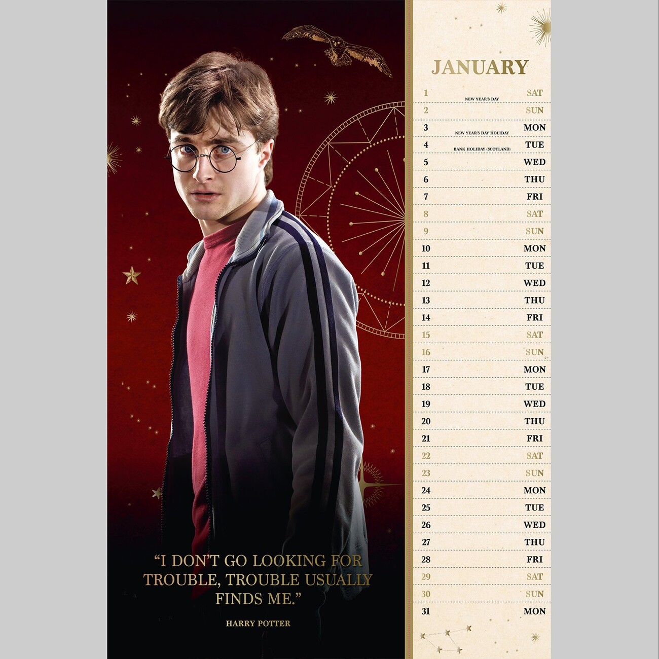 Harry Potter - Wall Calendars 2022 