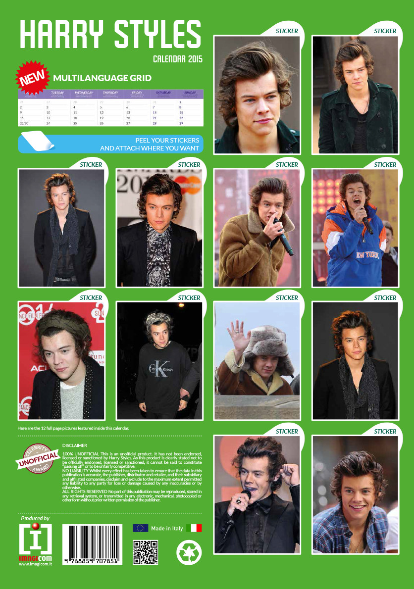 Harry Styles Wall Calendar 2025 