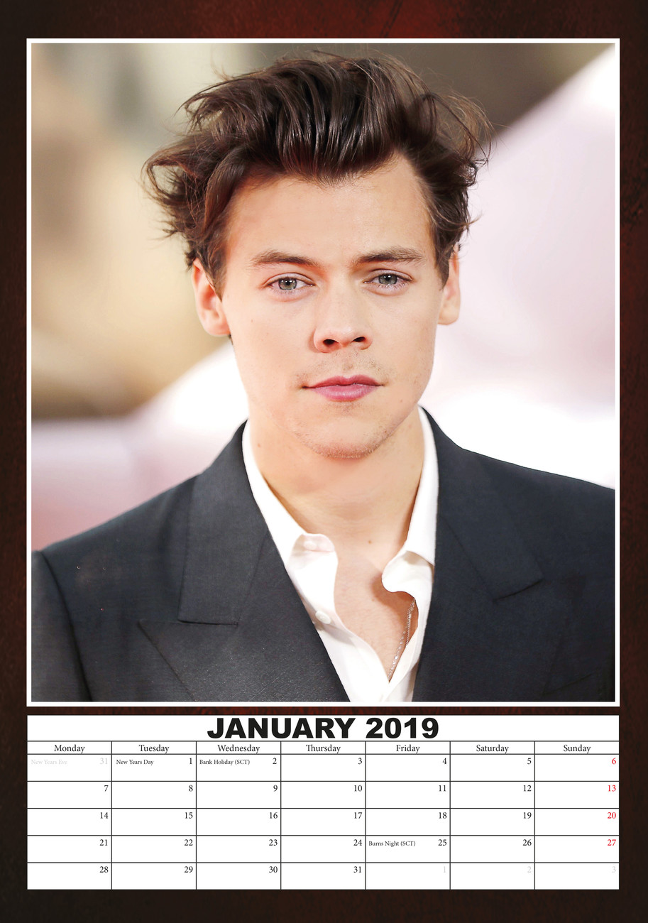Harry Styles Wall Calendars 2019 Buy at UKposters