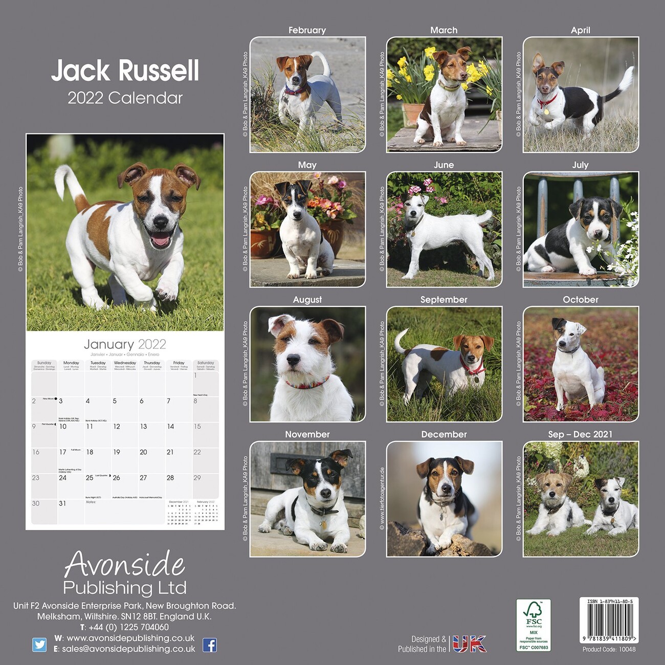 Jack Russell - Wall Calendars 2024 | Buy at UKposters