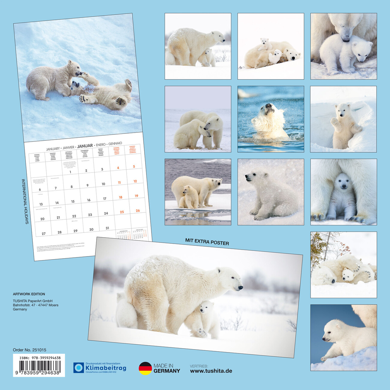 Polar Bears Wall Calendars 2025 Buy at UKposters