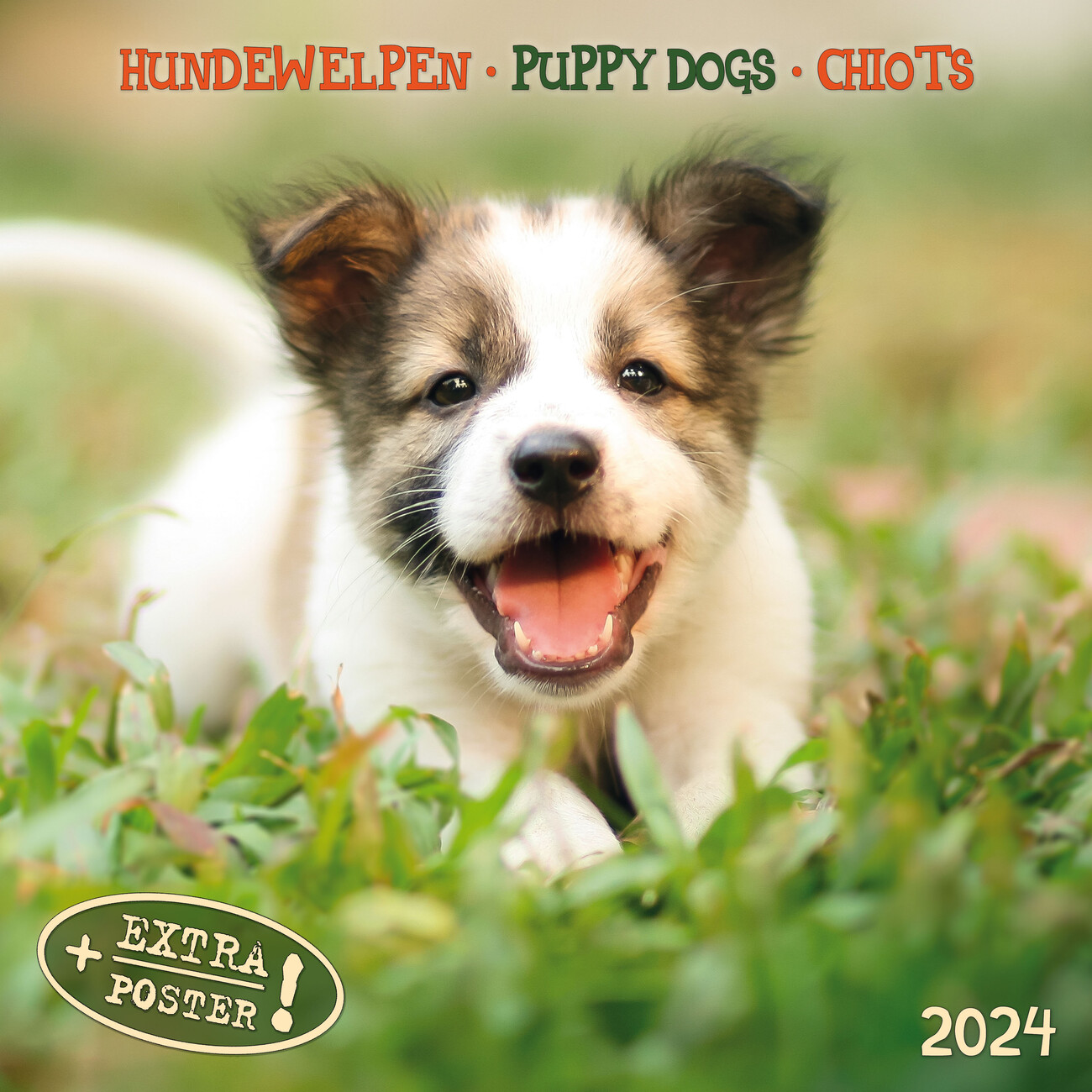 Puppy Dogs Wall Calendars 2024 Buy at UKposters