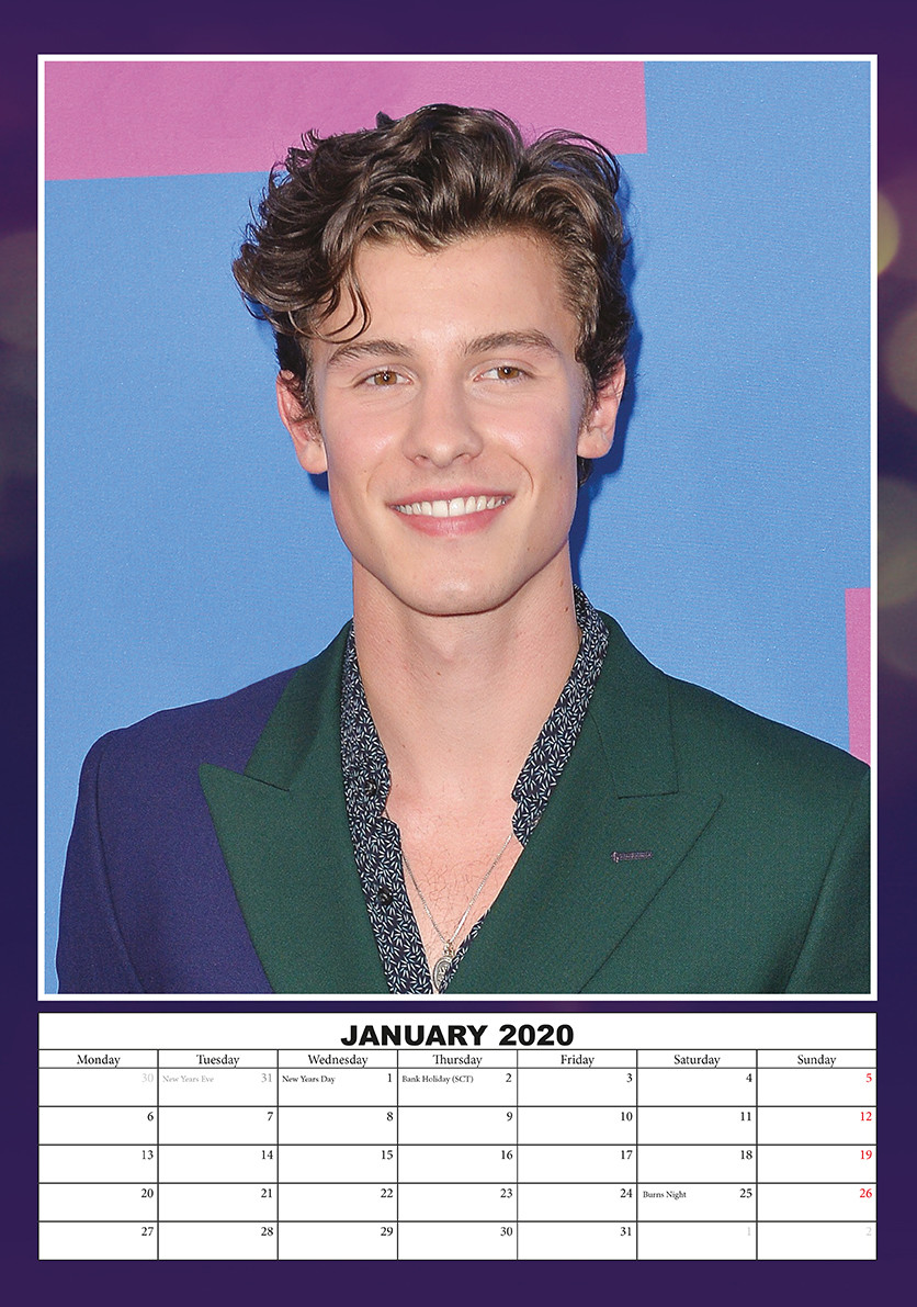 Shawn Mendes Wall Calendars 2024 Buy at Europosters