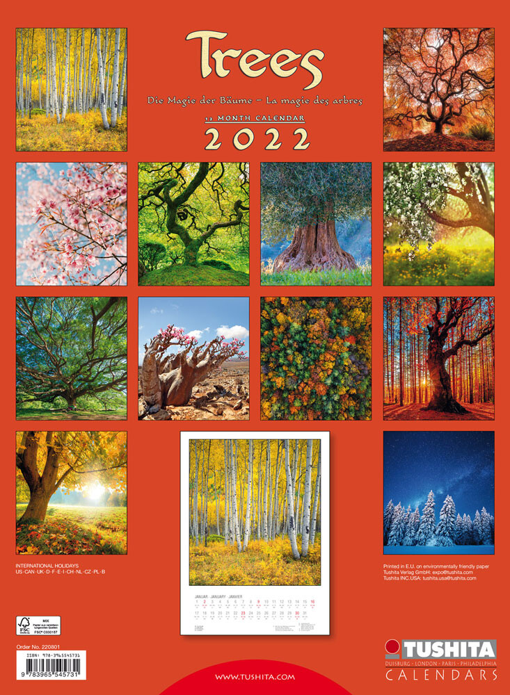 Trees Wall Calendars 2022 Buy at UKposters