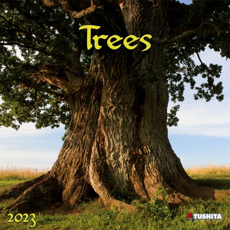 Trees Wall Calendars 2024 Buy at Europosters