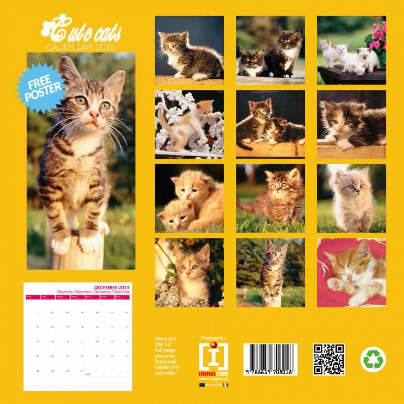 Chats Calendriers Achetez Sur Europosters Fr