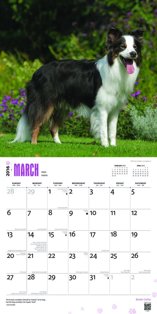 Calendrier De L'Avent 2025 Border Collie - 24 Figurines Chiots Acrylique à Suspendre, Déco Noël