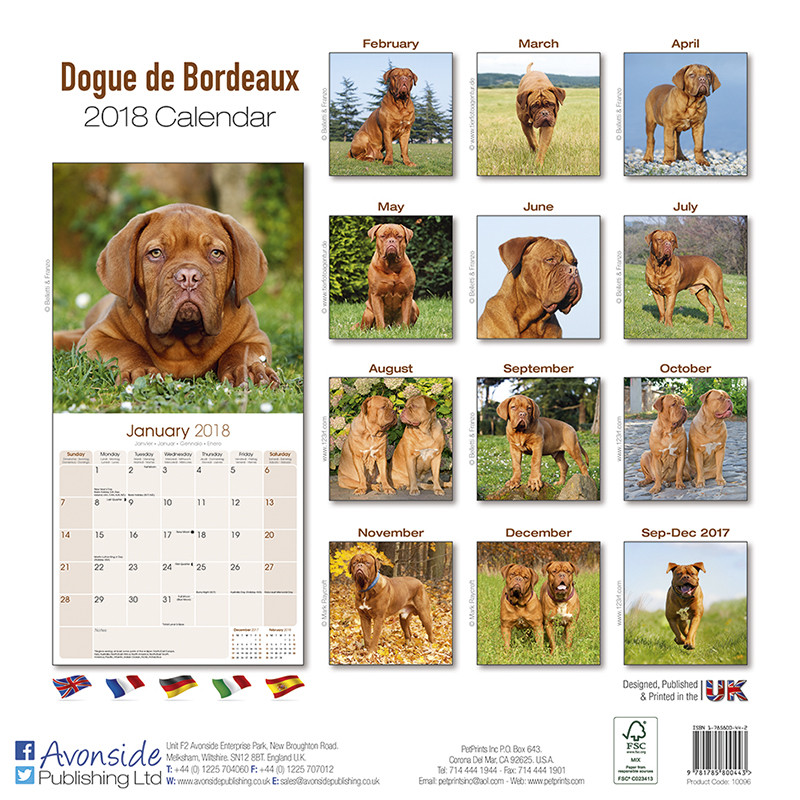 Dogue de Bordeaux Calendriers 2026 Achetez sur Europosters