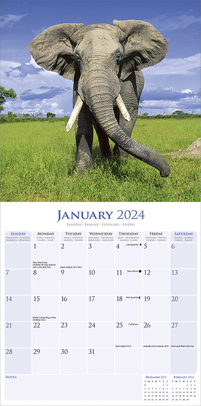 calendrier d'activités - année 2024 - Mam's Elephant !