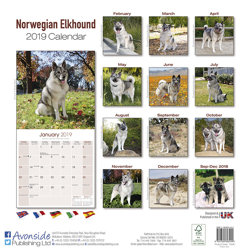 Norwegian Elkhound Calendriers 2025 Achetez sur Europosters