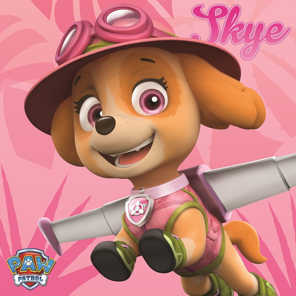 Canvas print Paw Patrol - Skye | Wanddecoraties | Europosters