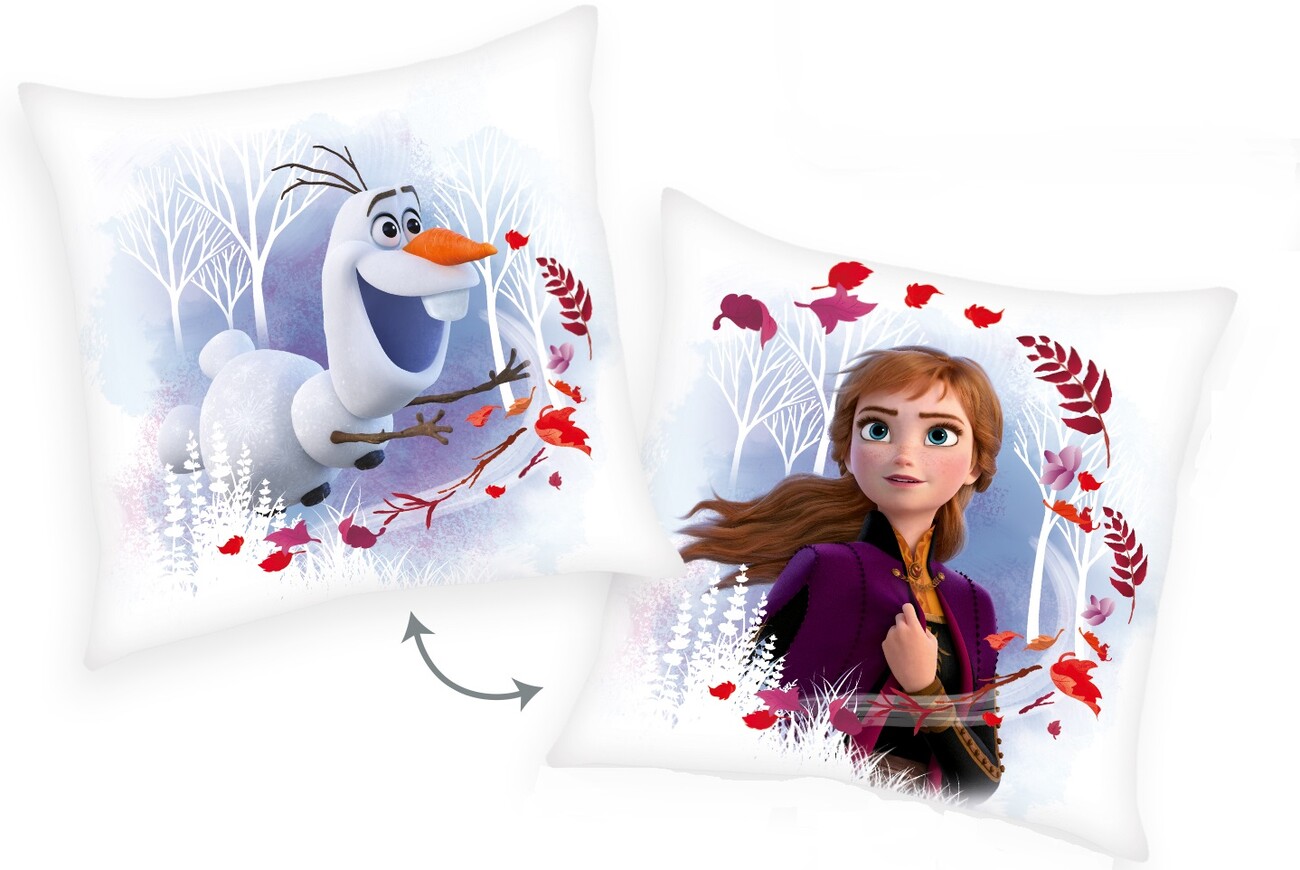 Cuscino/cuscino personalizzato Frozen 2, Elsa & Anna. Regalo