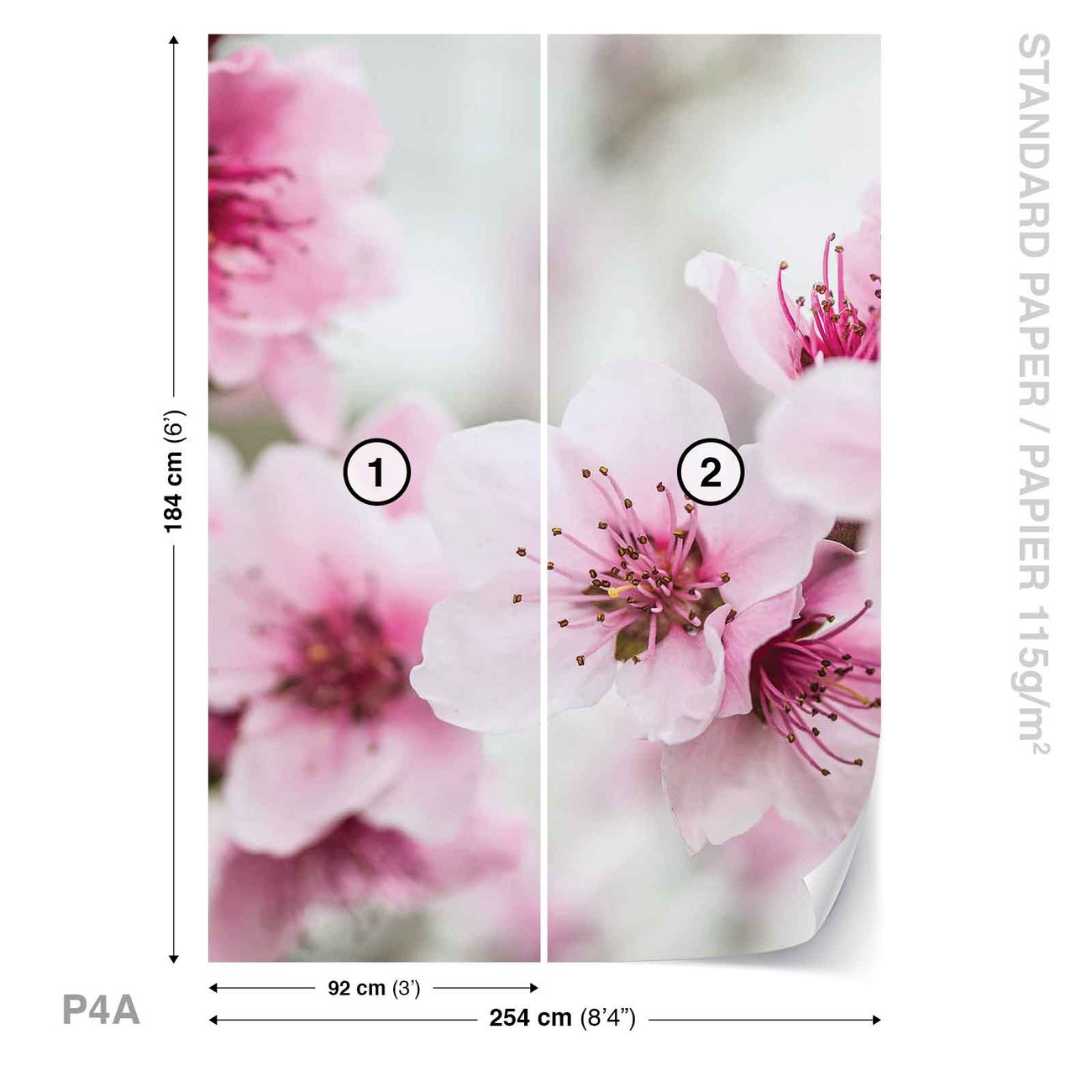 Fotomural Flores de la flor de cerezo, Papel pintado | Posters.es