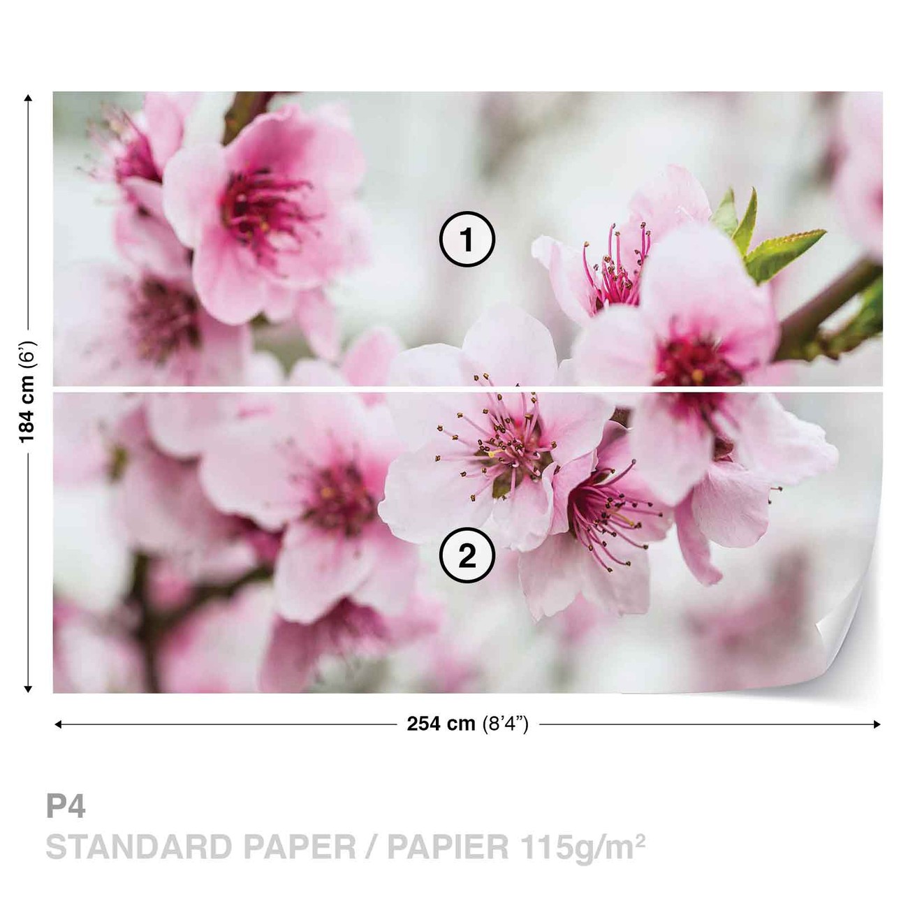 Fotomural Flores de la flor de cerezo, Papel pintado | Posters.es