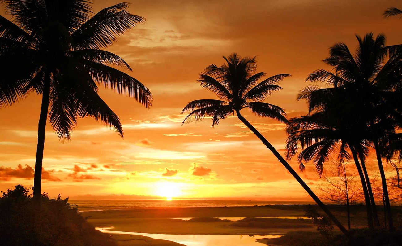 Beach Tropical Sunset Palms Fototapeta, Tapeta 