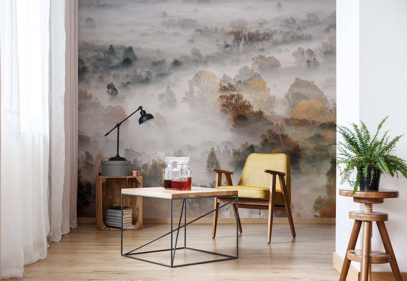 Autumn Colours In The Fog Fototapeta, Tapeta | Kup na Posters.pl