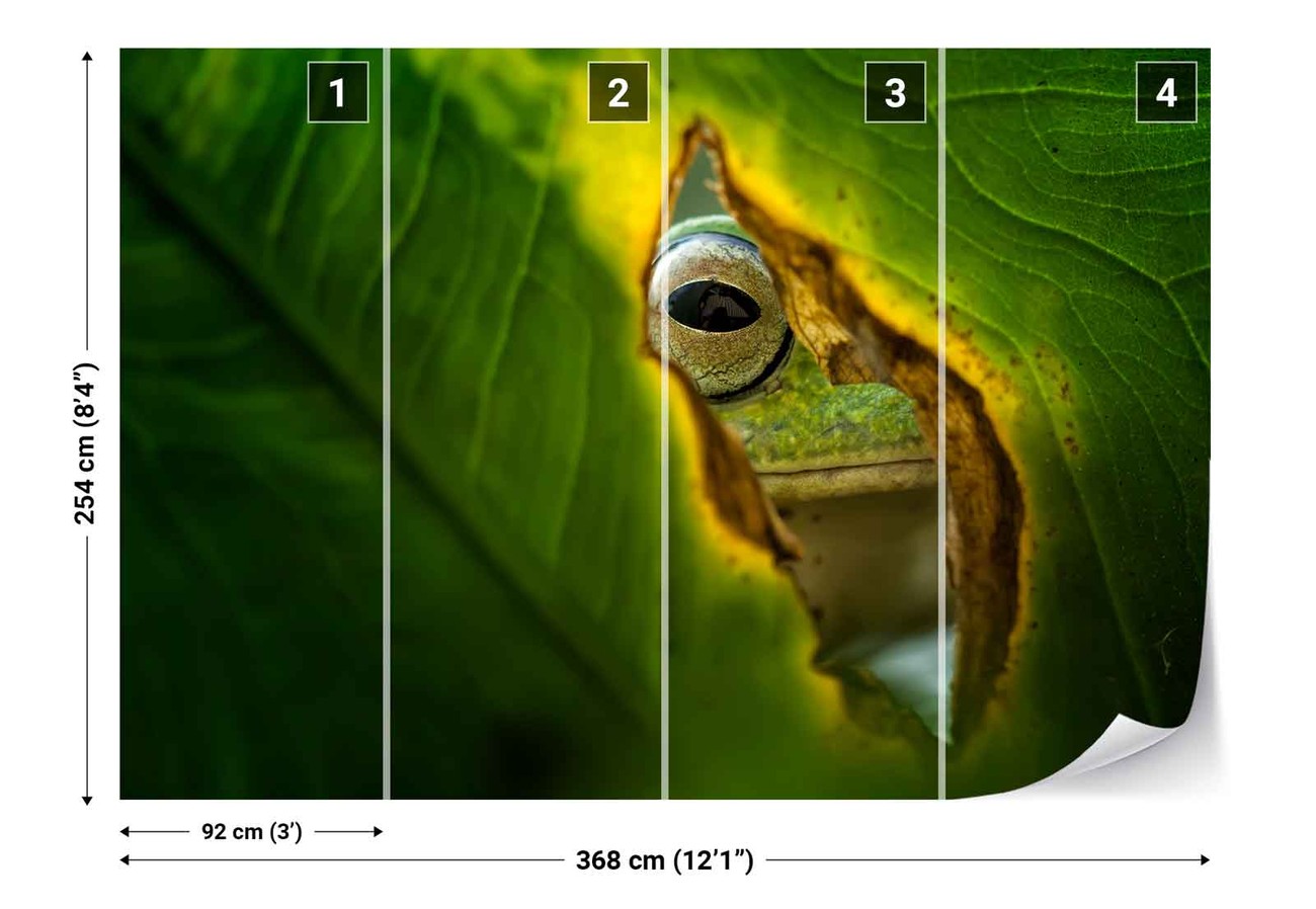 Peeking Frog Fototapeta, Tapeta | Kup na Posters.pl