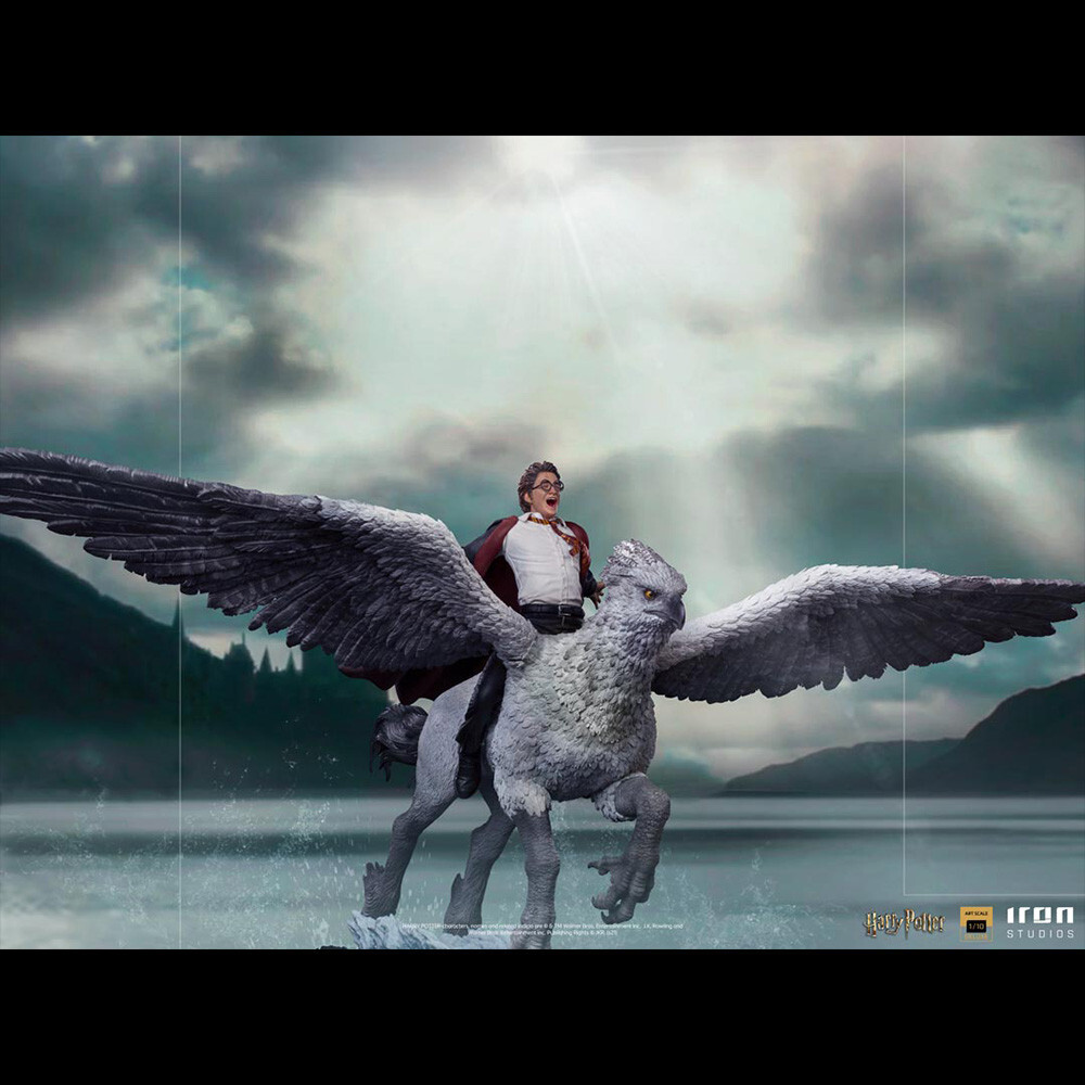 harry potter flying on buckbeak