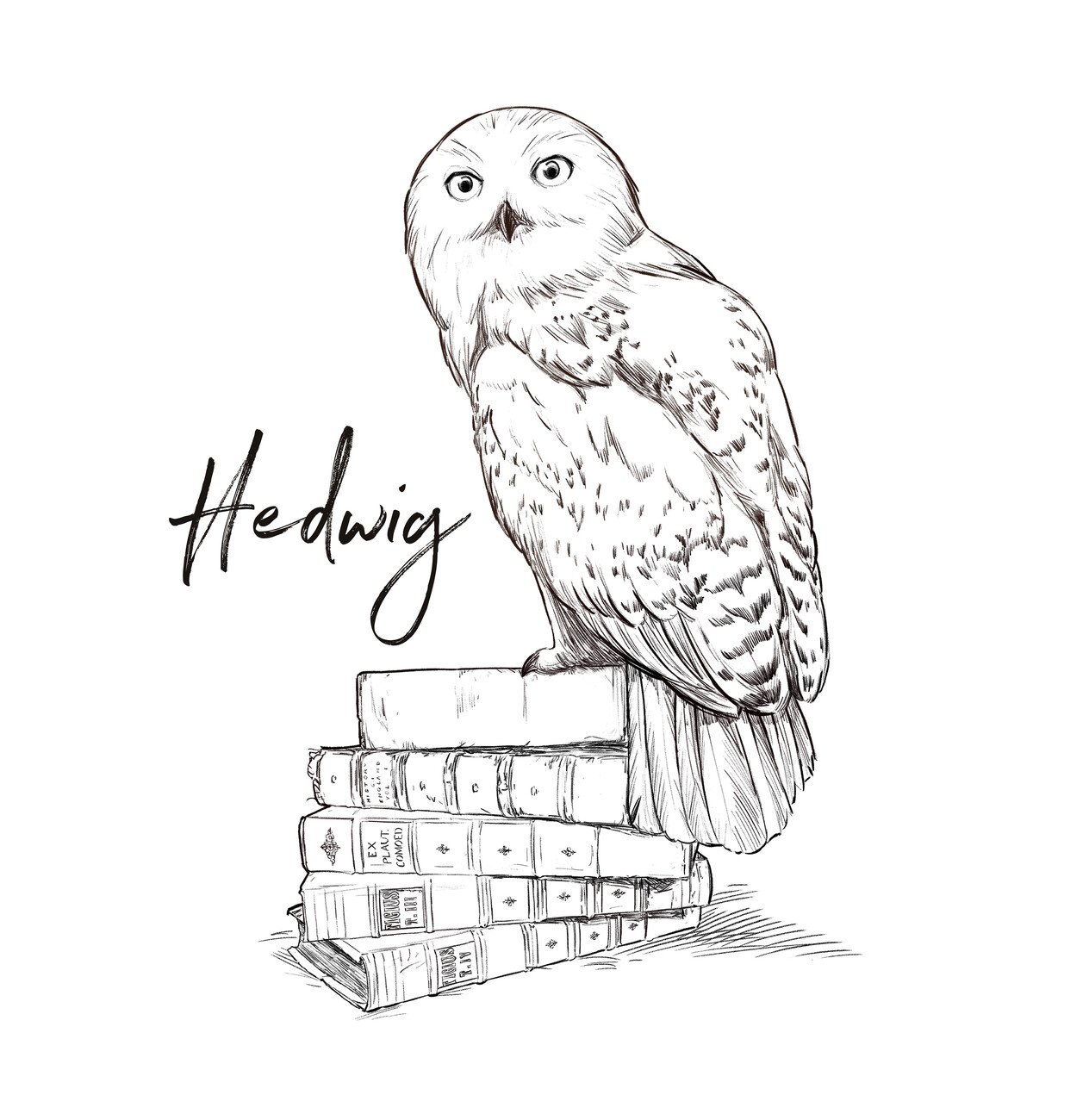 Figurine de jeu Harry Potter - Harry Potter et Hedwig