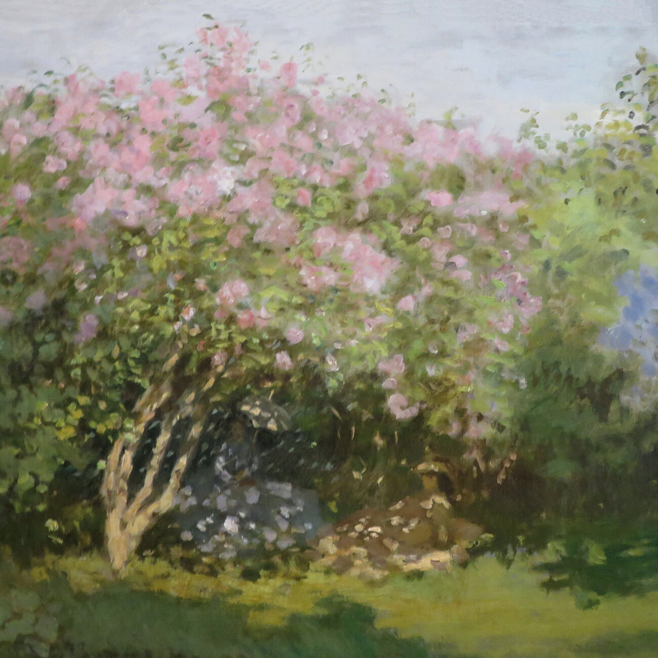 Claude Monet Blossoms Flowers Kalend E Na Ze 2024 Kup Na   Claude Monet Blossoms Flowers I170610 