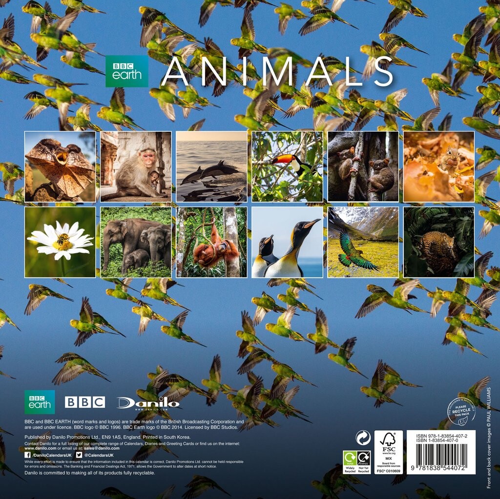 Kalender BBC Earth Animals EuroPosters.se