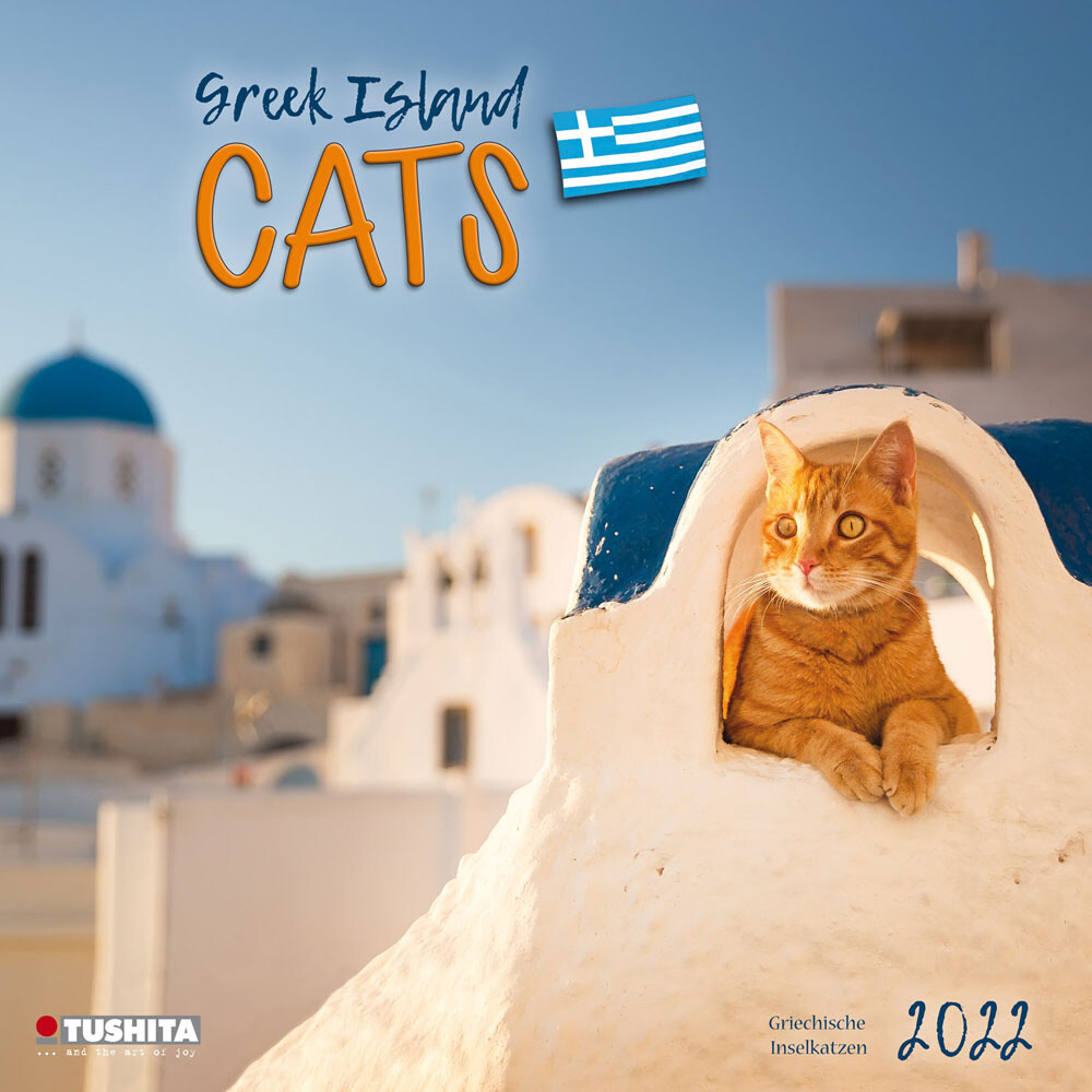 Greek Island Cats Wandkalender 2022 Kaufen bei Europosters