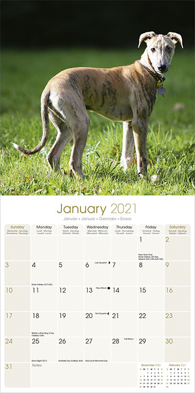 spansk kalender 2021